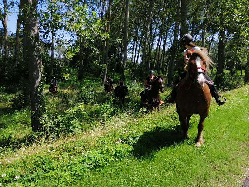 Circuit des Prairies du Val de Saône
