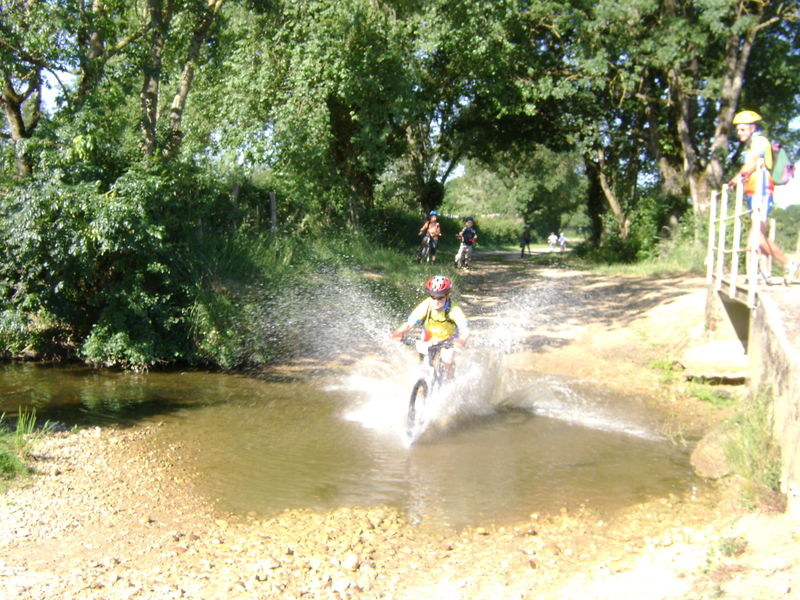 Ce circuit vous fait découvrir la Bresse, pays d'élevage du fameux poulet, labellisé AOP.
