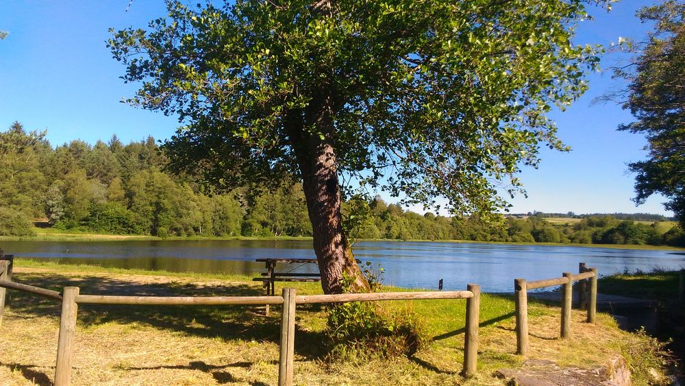 Site de pêche - Étang Willy Mabrut