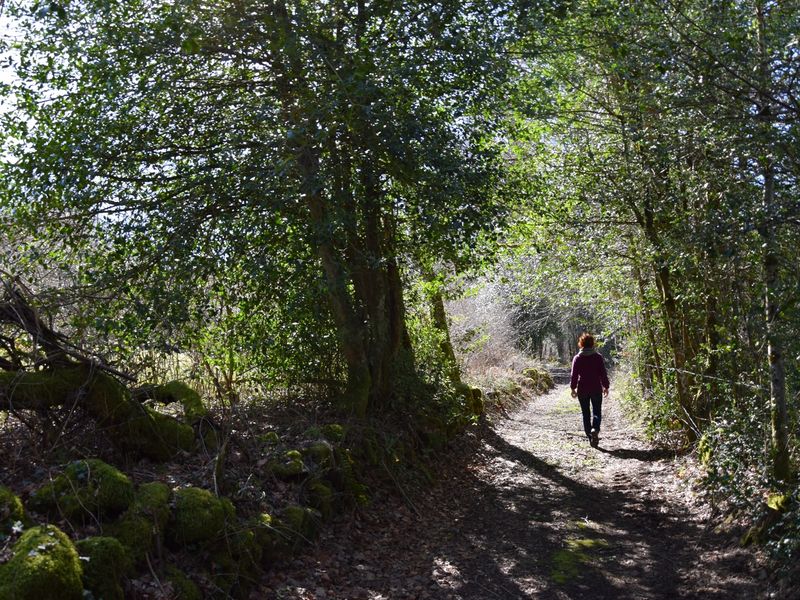 muret de pierres