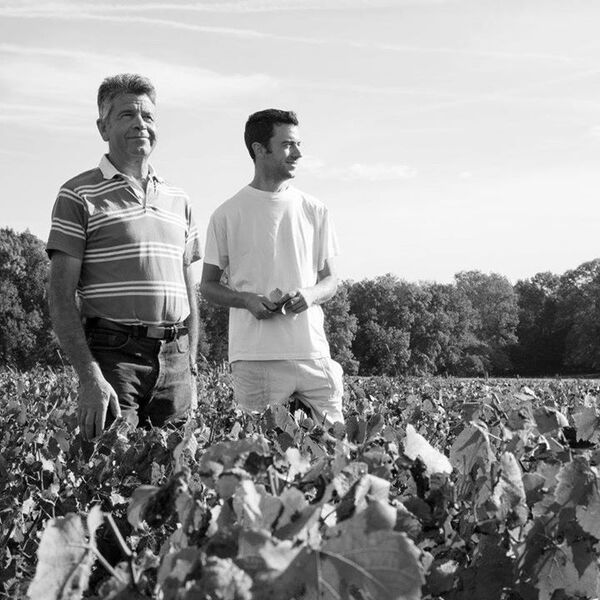 Domaine Christophe et Daniel Rampon à Villié-Morgon