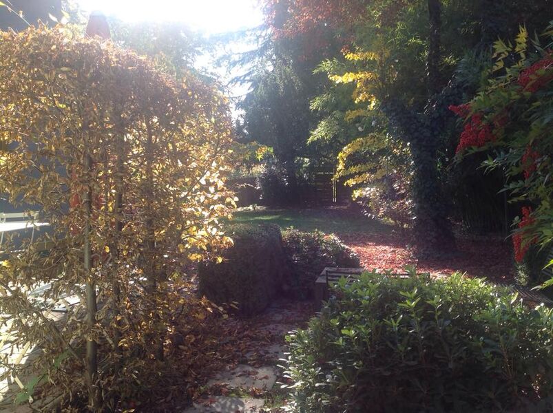 La terrasse en automne