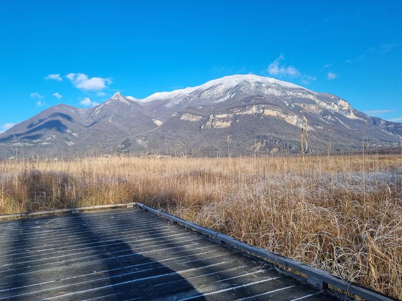 Sentier nature du Marais de Lavours_Ceyzérieu