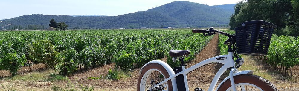 Roue Libre - Saint Maximin la Sainte Baume