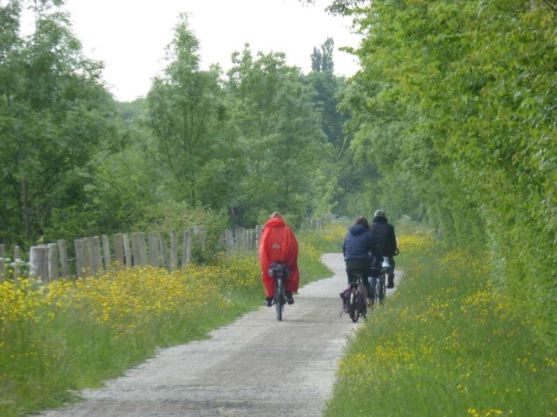 Balade nature : roue libre