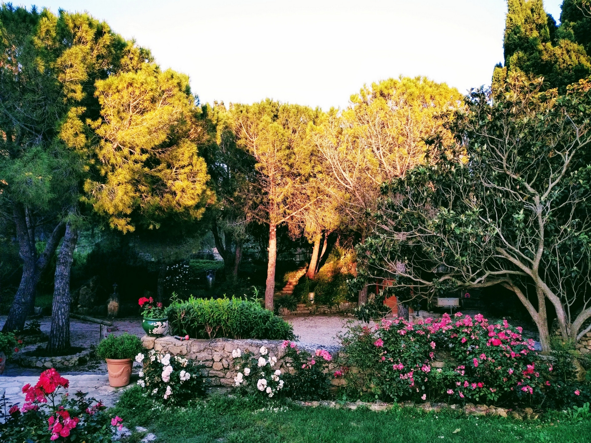 Mas Saint Victor - photo 3