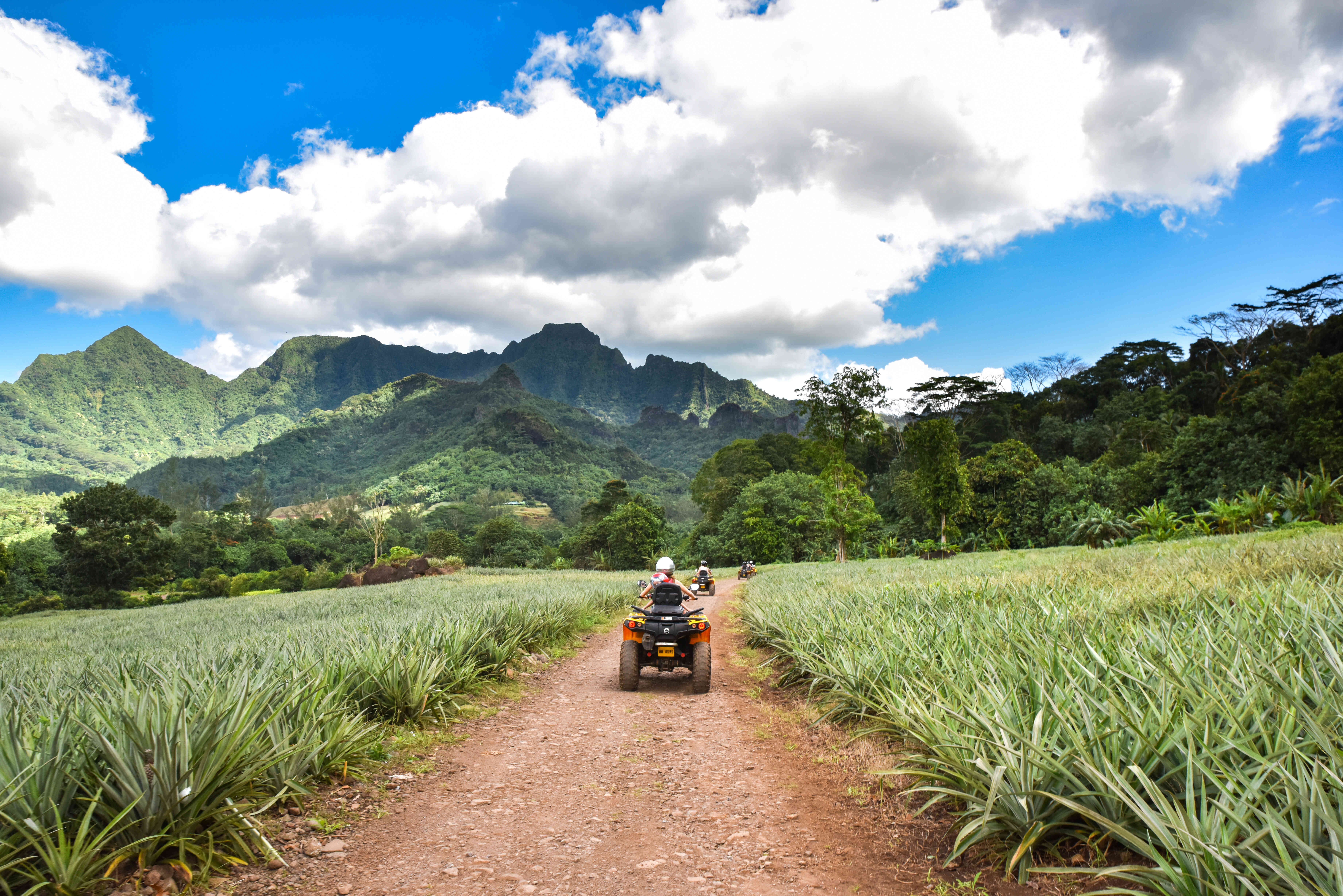 Route des Ananas