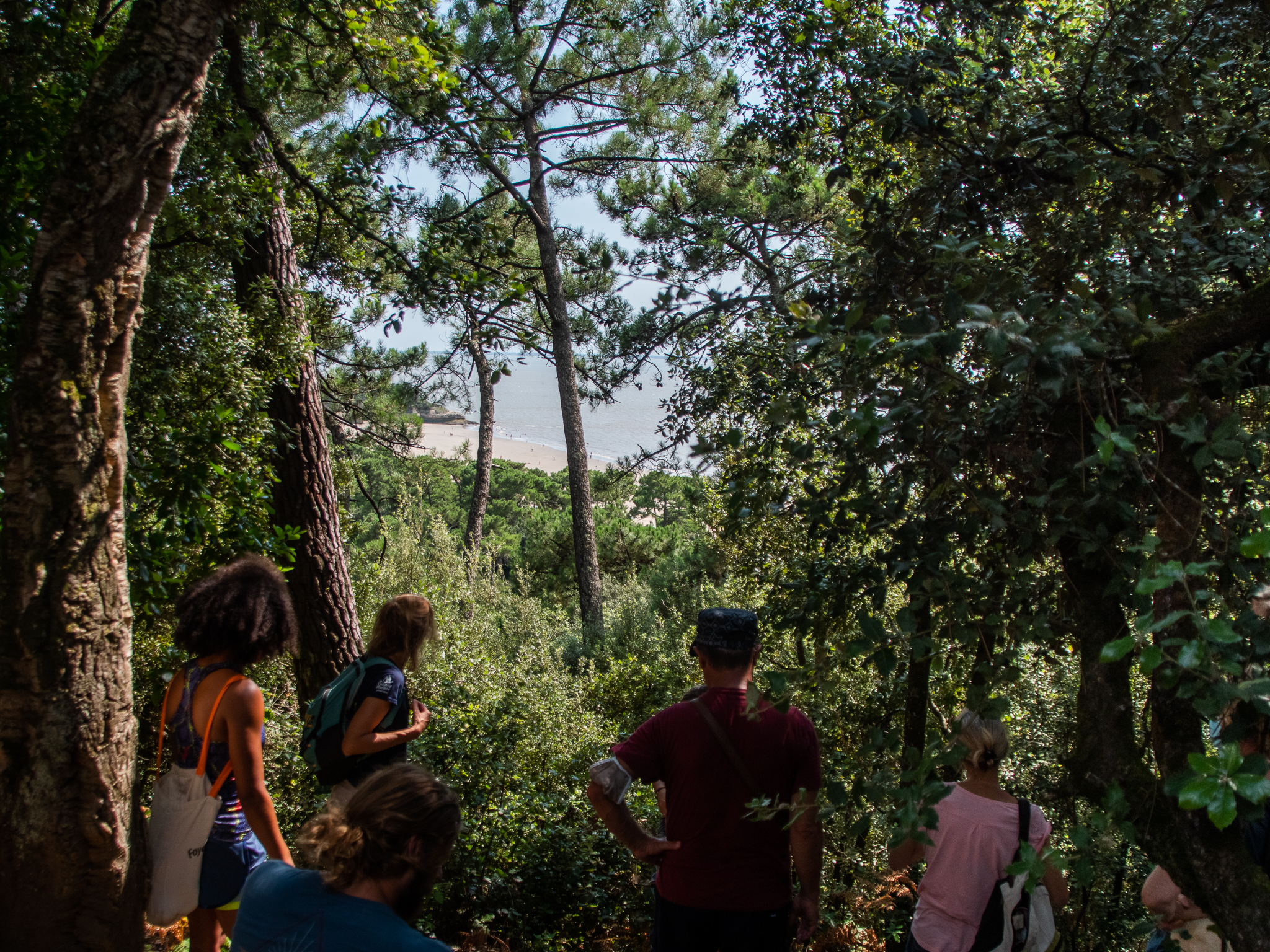 "Expédition Nature en Forêt" dans le cadre de la "Semaine de l'arbre et du paysage" 2026