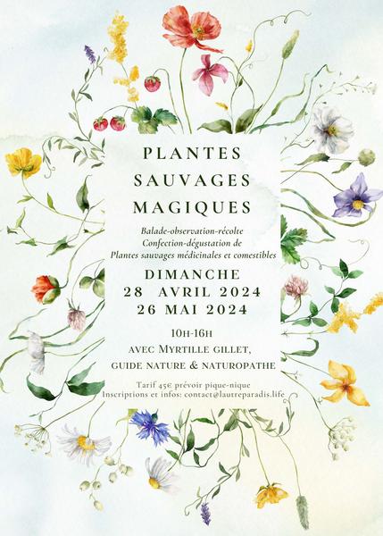 sorties plantes sauvages 28 avril et 26 mai 2024 Poligny
