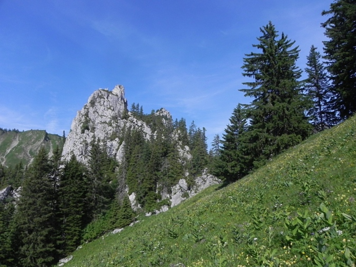 Le Col de Savalène (d'Arvouin)