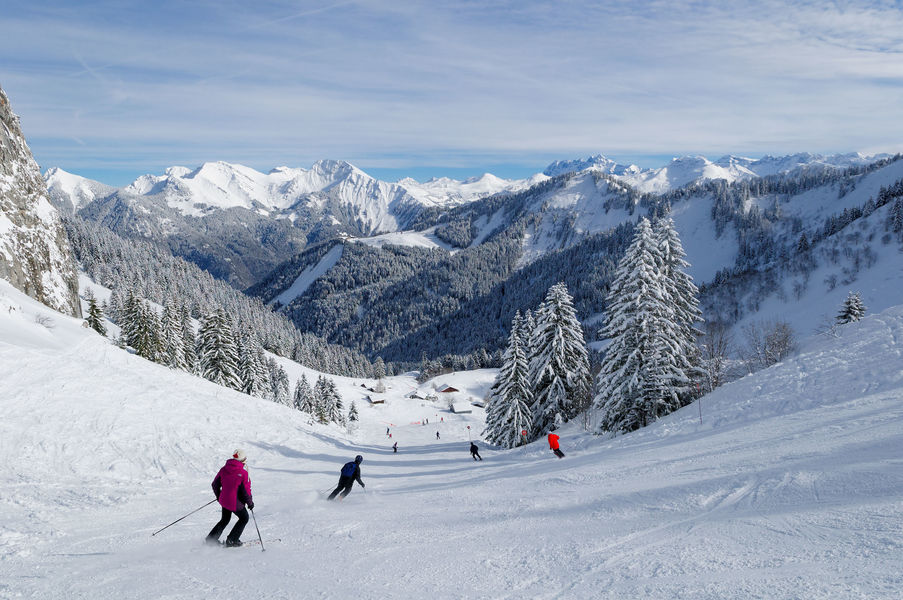Grand ski et beaux paysages