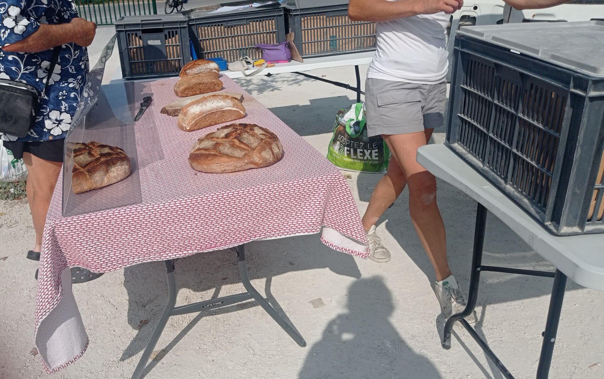 Marché de Saint-Julien-les-Martigues - photo 4