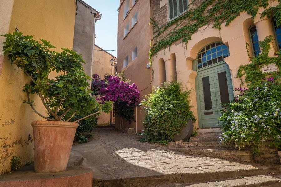 Visite guidée Au détour des moulins Journées Européennes du Patrimoine_Bormes-les-Mimosas
