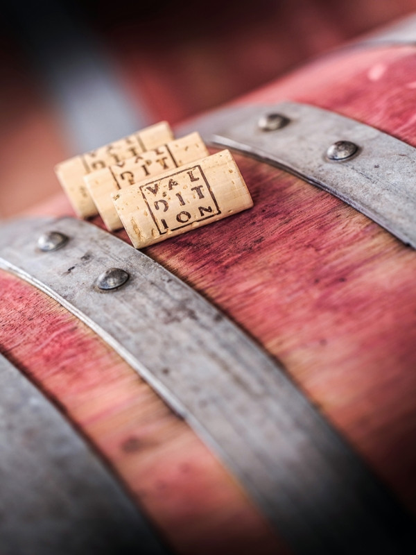 Domaine de Valdition - photo 2