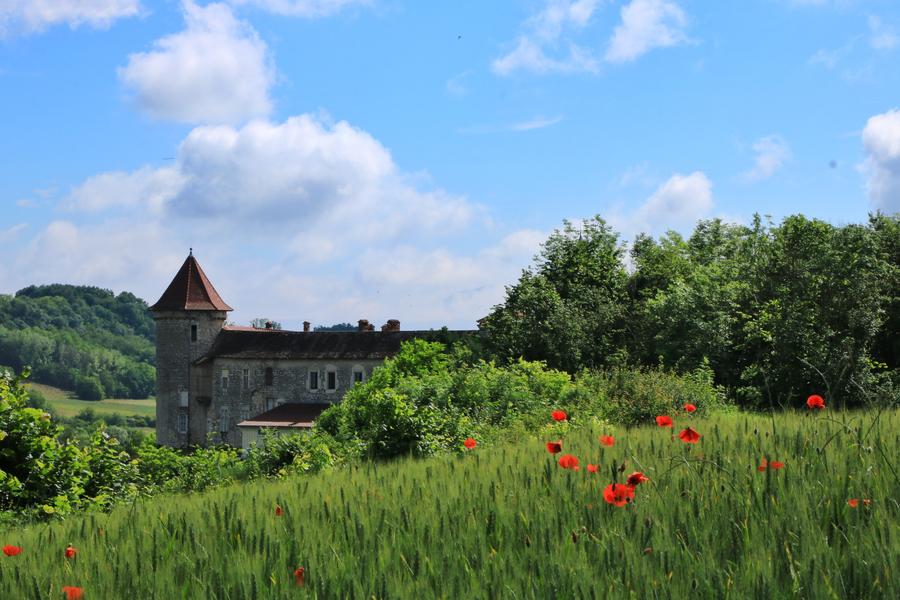 Saint-Chef, cité abbatiale - à une heure de Lyon - Nord-Isère - Balcons du Dauphiné