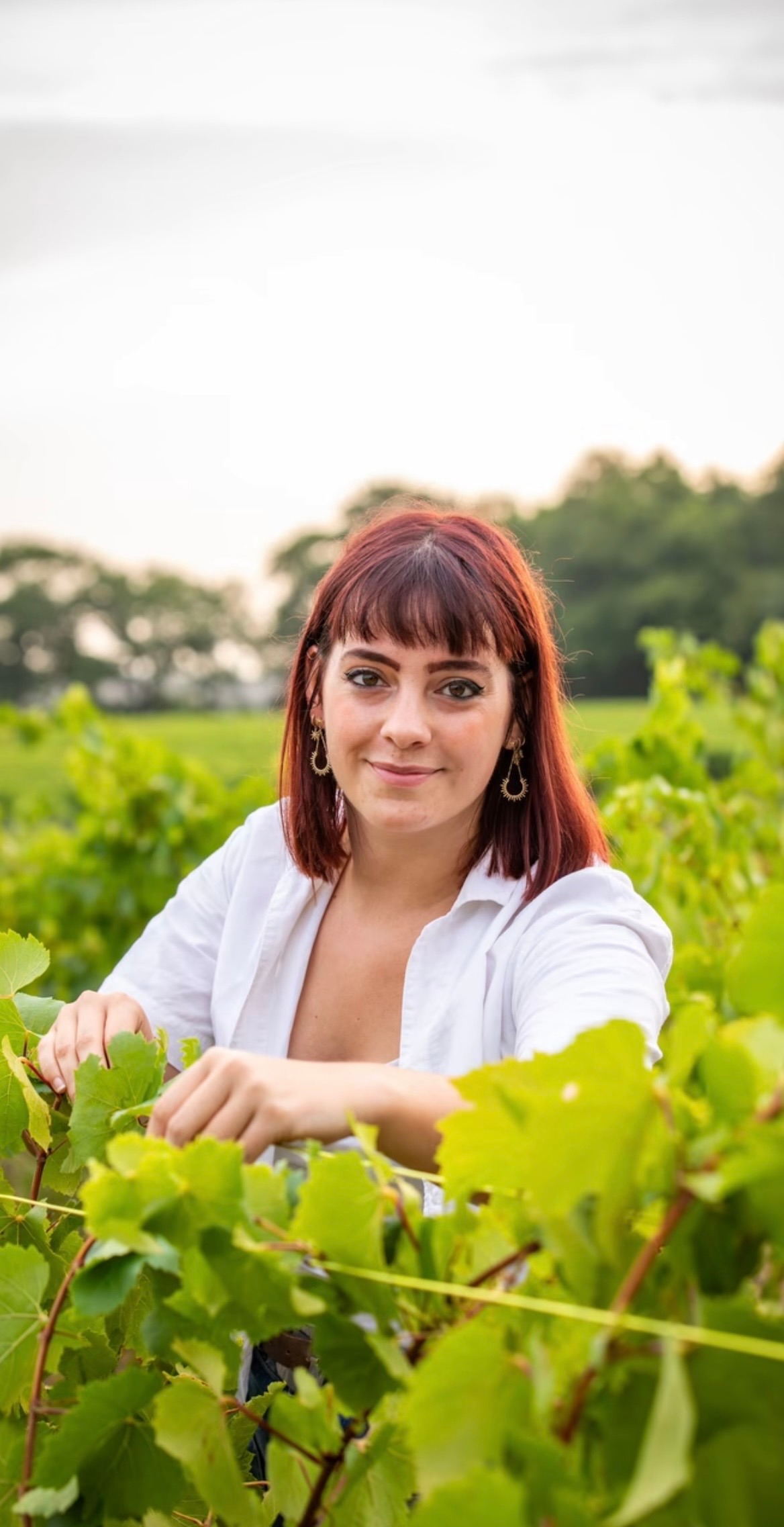 Rencontre avec une vigneronne - Domaine de Pommier