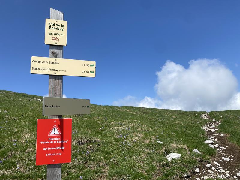 Randonnée pédestre : La Petite Sambuy via la piste forestière_Faverges-Seythenex