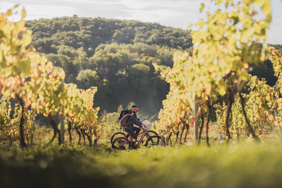Circuit VTT n°20 (bleu) Passerelle des Vendangeurs - Journans la Sce_Ceyzériat