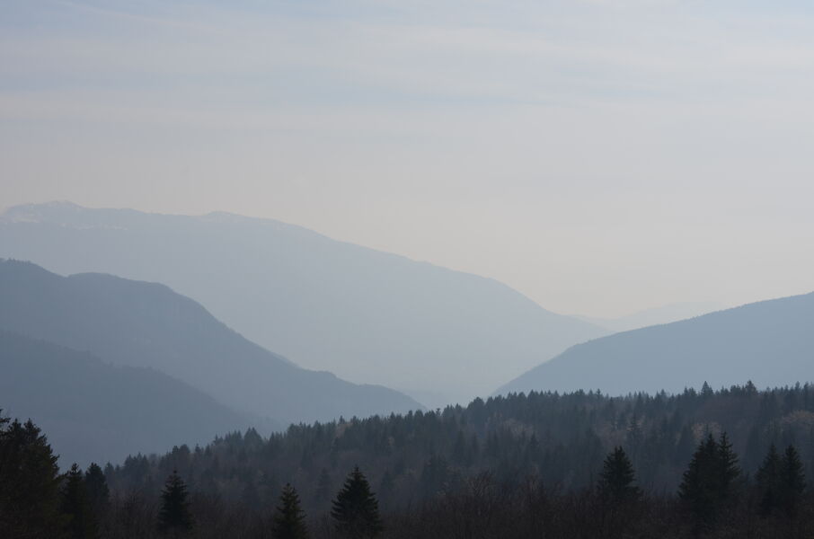 Vue depuis Dinoplagne