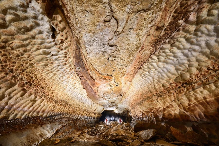 Exposition Plongez dans l’invisible 