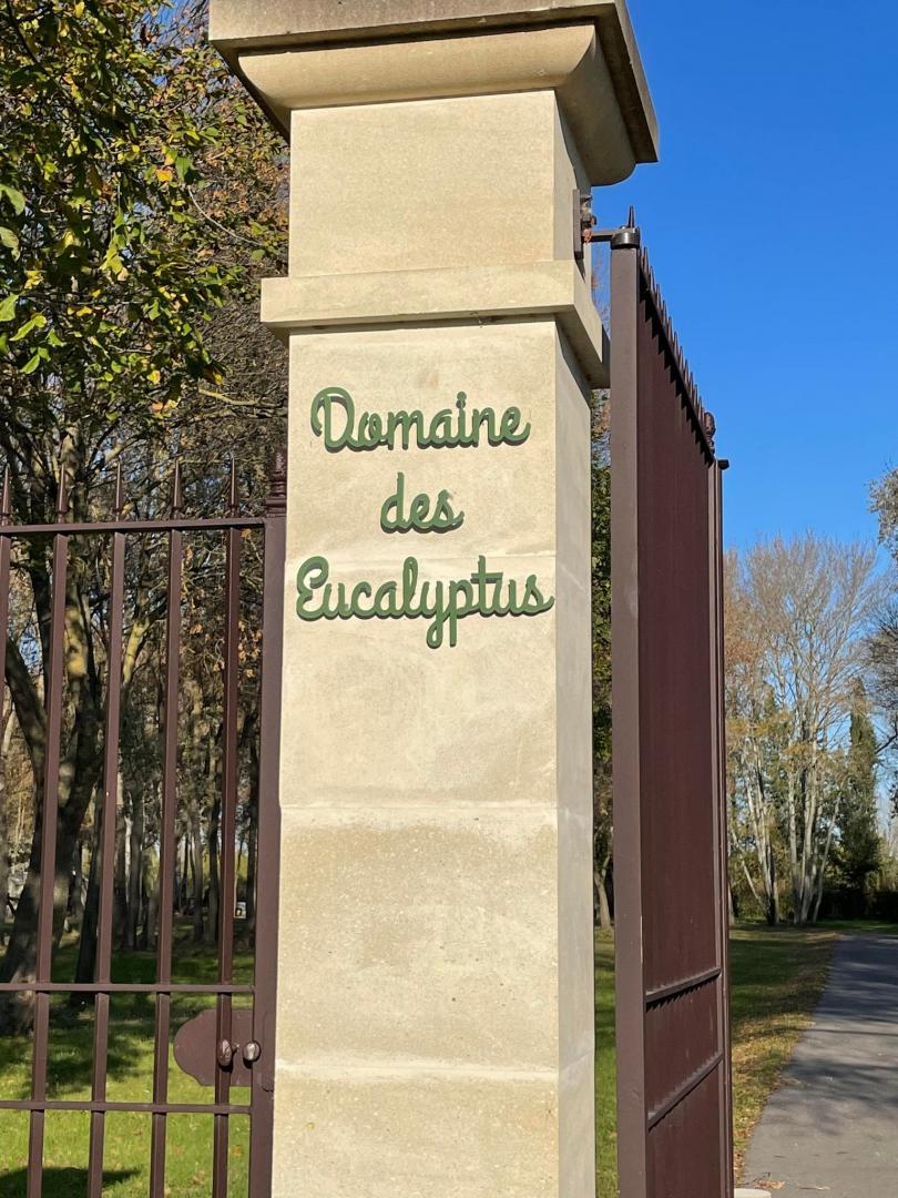 Domaine des Eucalyptus, Mollégès - photo 2