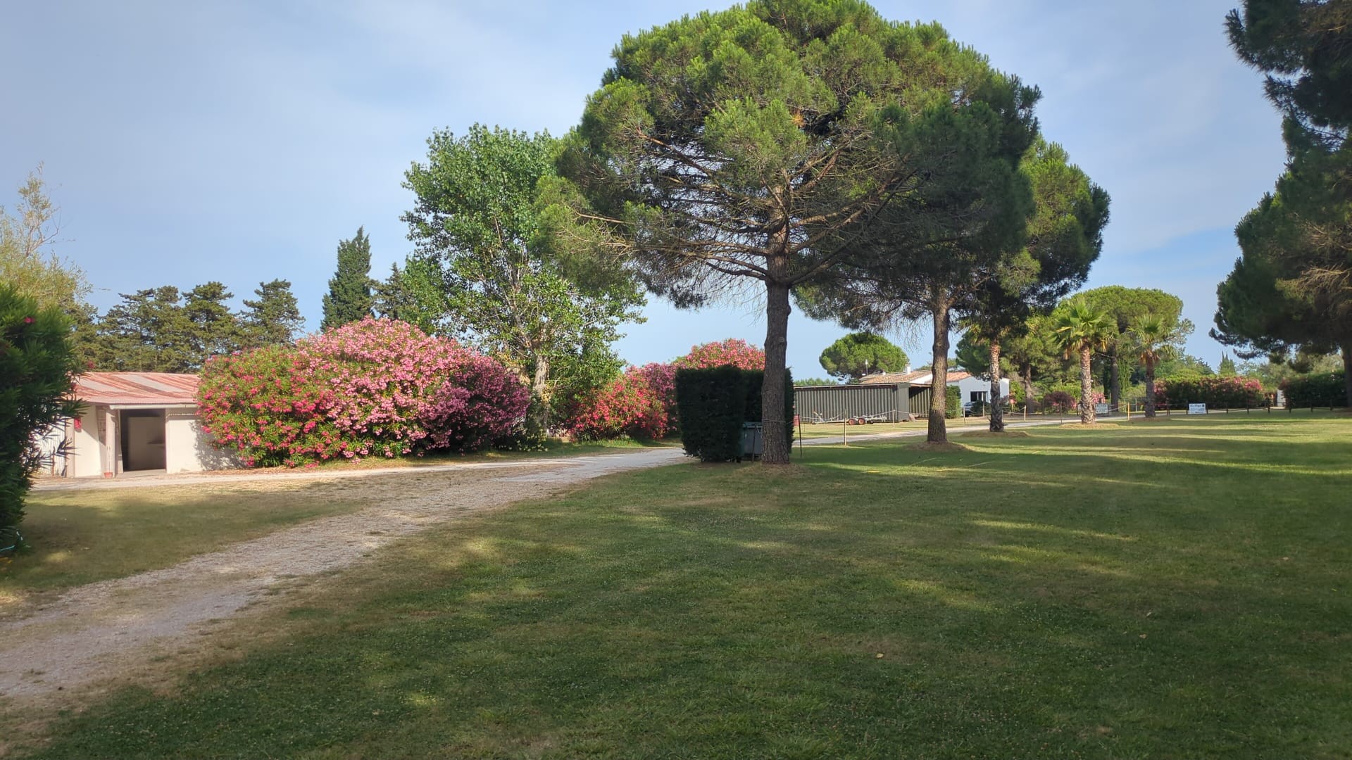 peyron 4