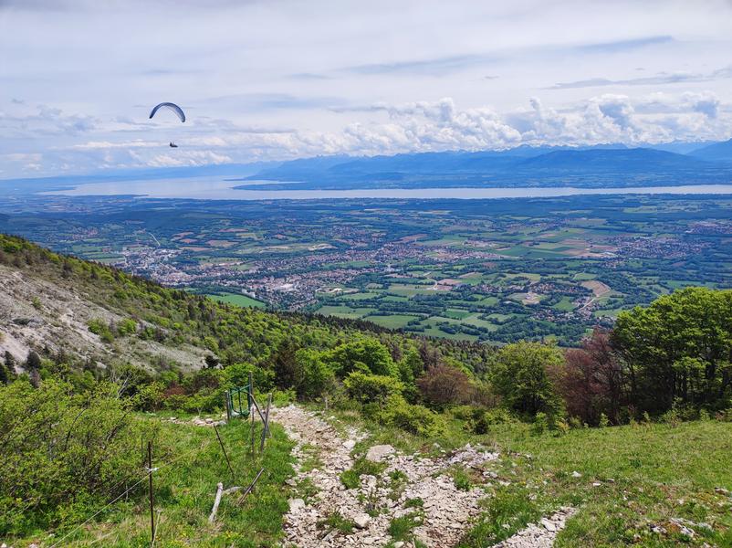 Randonnée pédestre : La Petite Marche Populaire de Gex_Gex