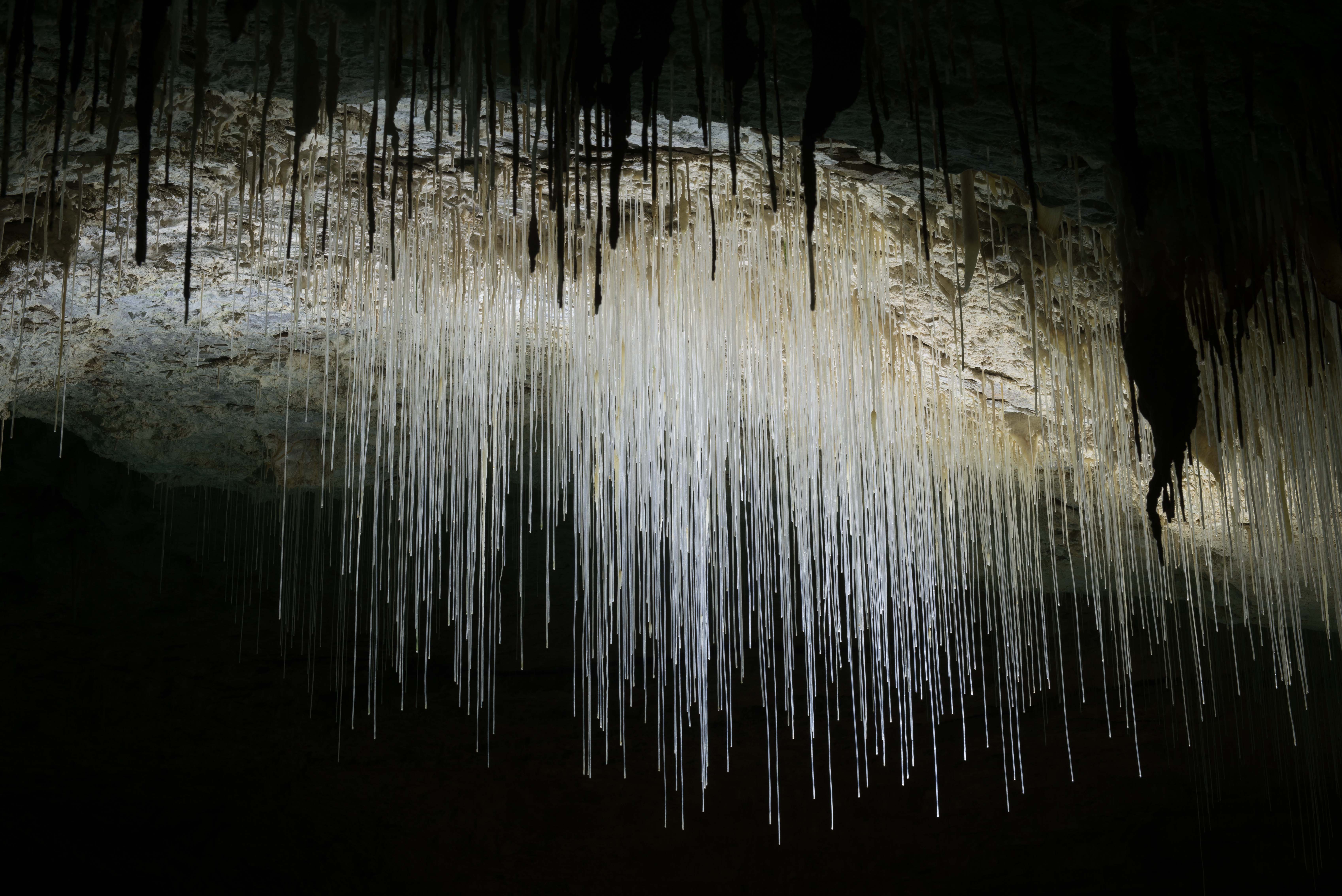 La Grotte de Choranche