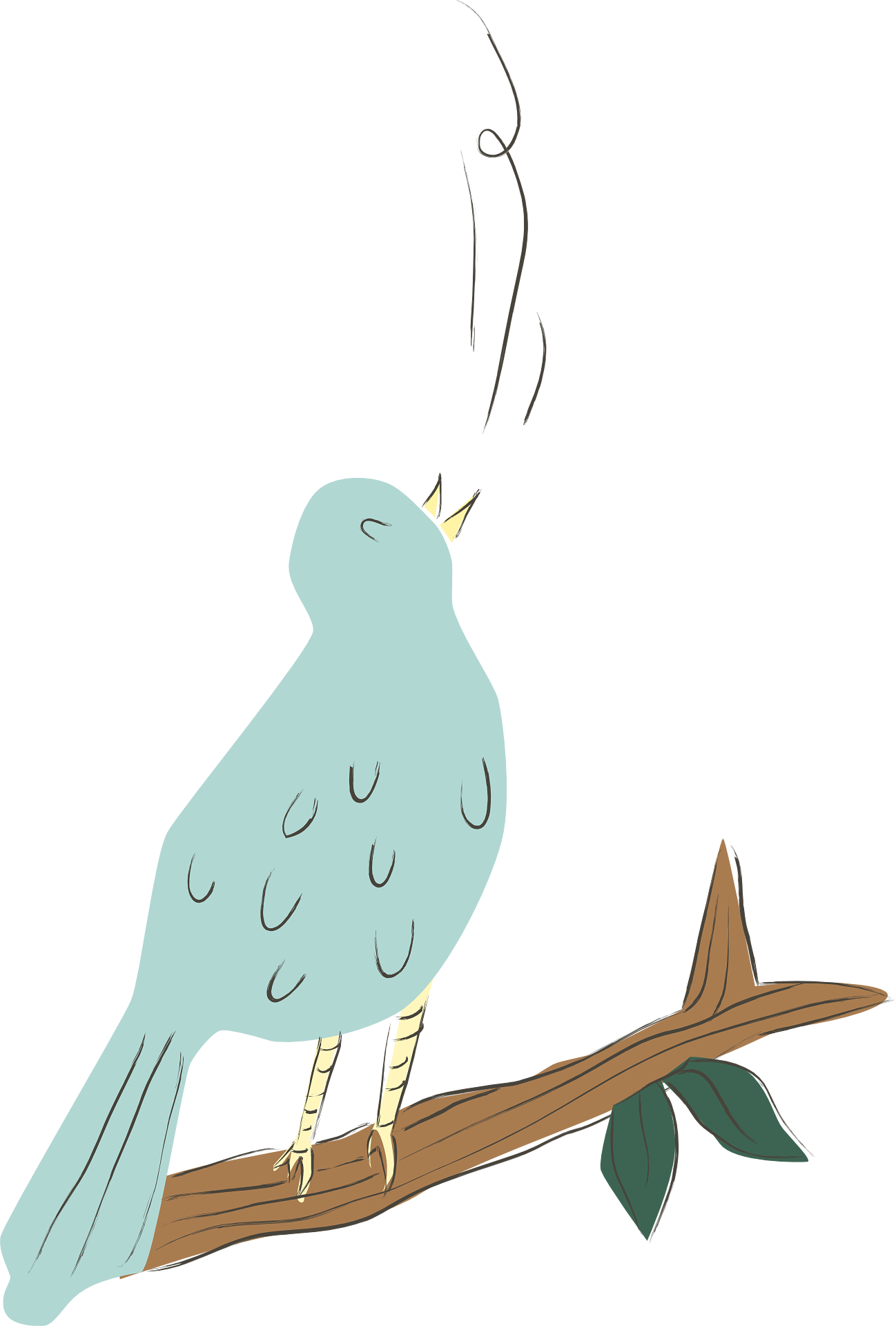 bird