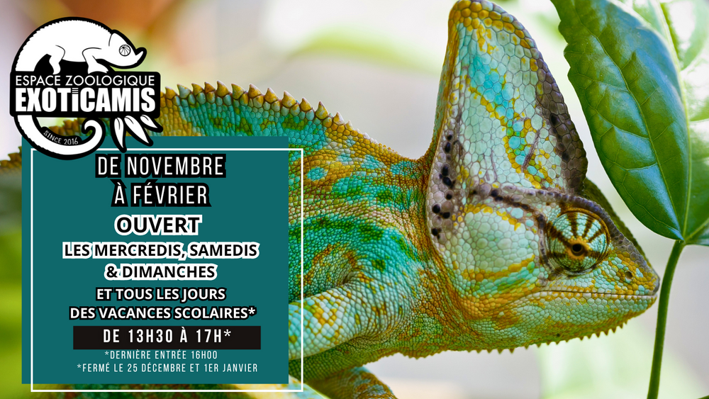 L'Hiver à L'Espace Zoologique Exoticamis