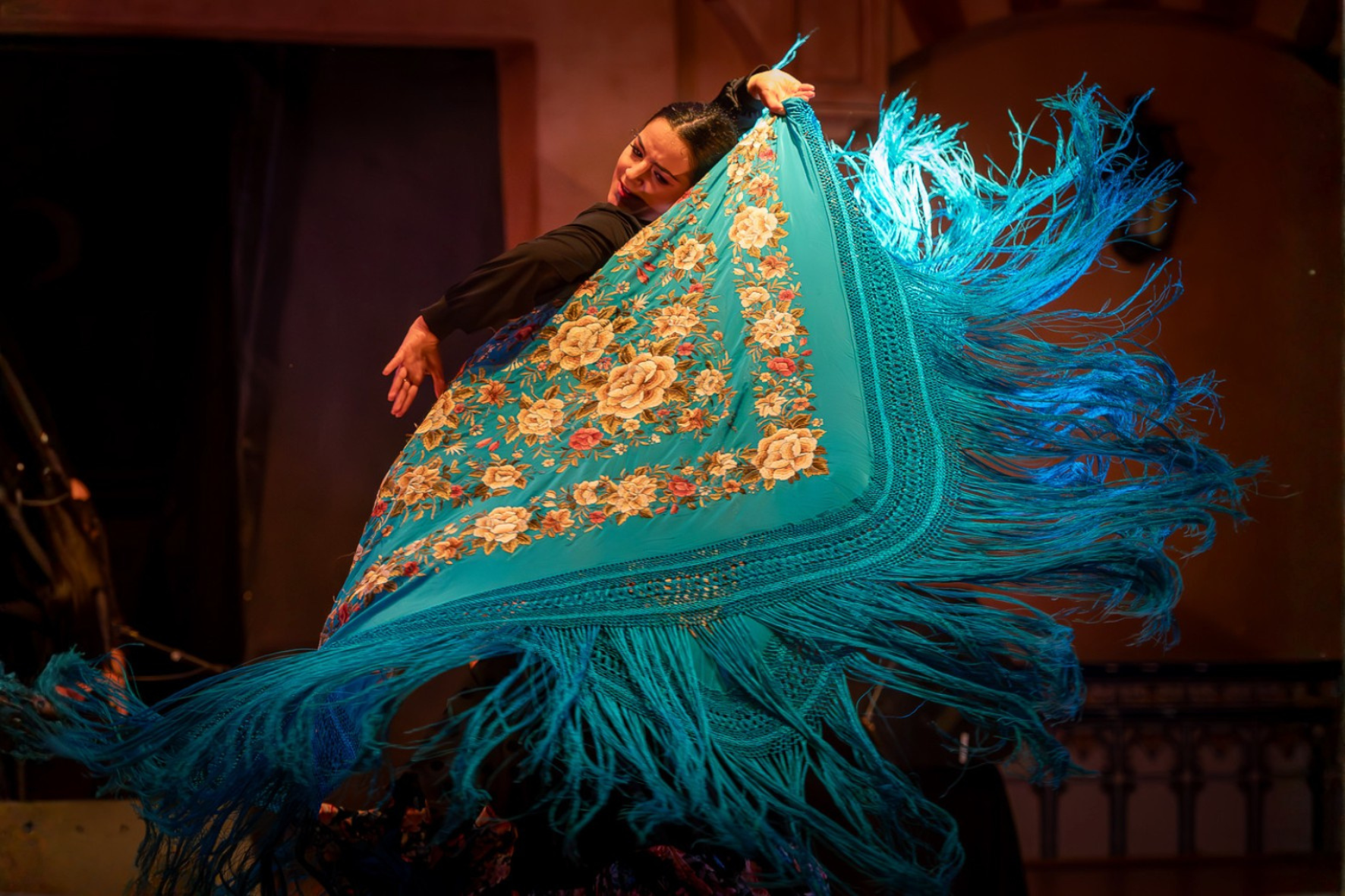 Les Musicales dans les Vignes - Flamenco au château Barbebelle