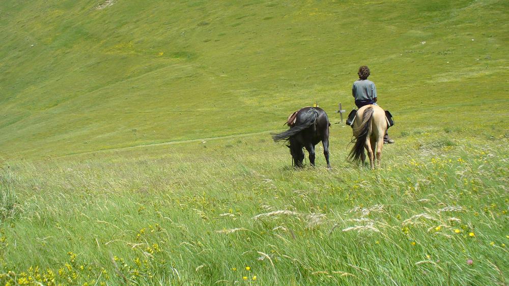 Lacs et alpages - Matheysine 6 jours_Corps