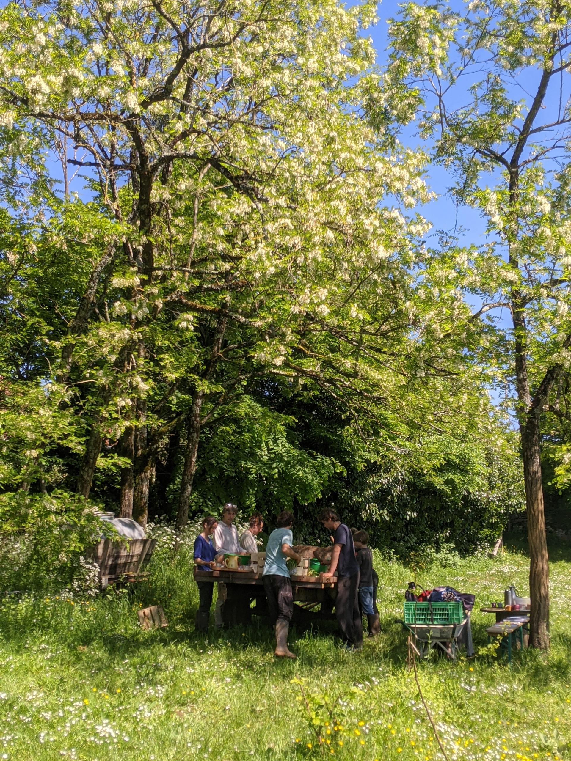 Festoyez le Printemps à la ferme