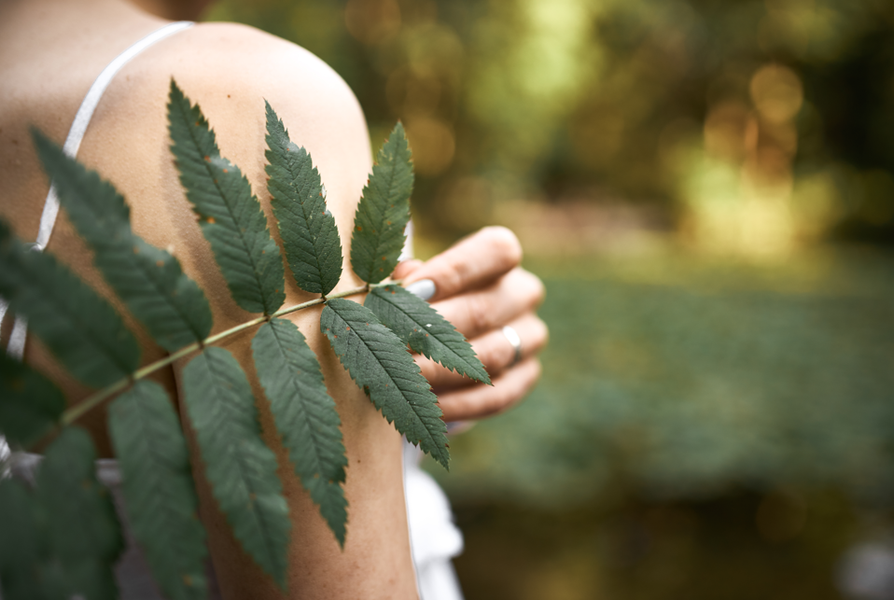 Nature & well-being walks: “Plants, Nature, Life Balance”