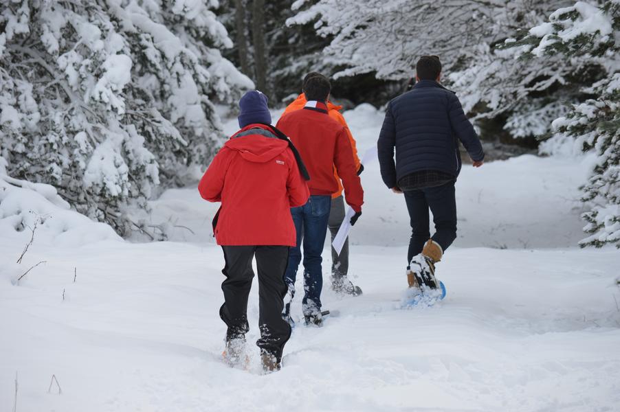 Les nocturnes de Prat de Bouc - Sortie Ski de fond / raquette, libre ou accompagnée