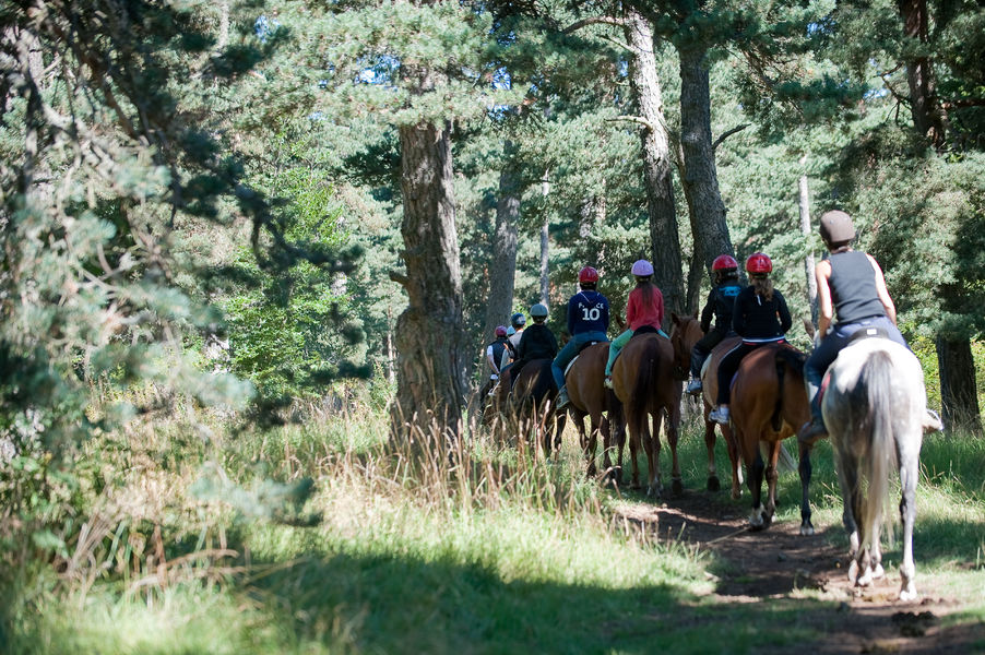 Equestrian centre in the Pinatelle