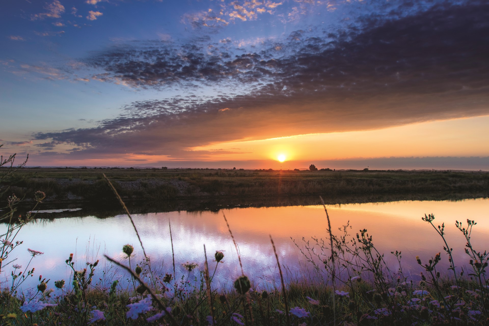 Balade nature dans les marais de Mornac-Sur-Seudre au crépuscule