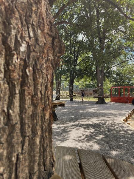 Parcours accro sans équipement - Loupisco Park