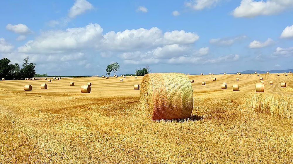 Circuit des Prairies du Val de Saône