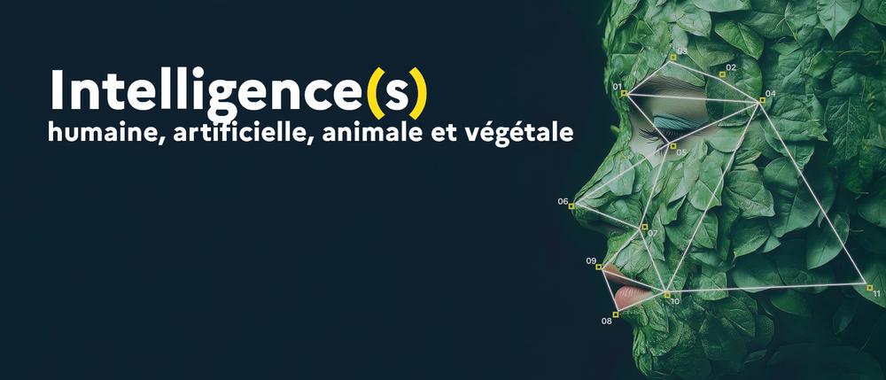 Fête de la science - Médiathèques Paris-Saclay 