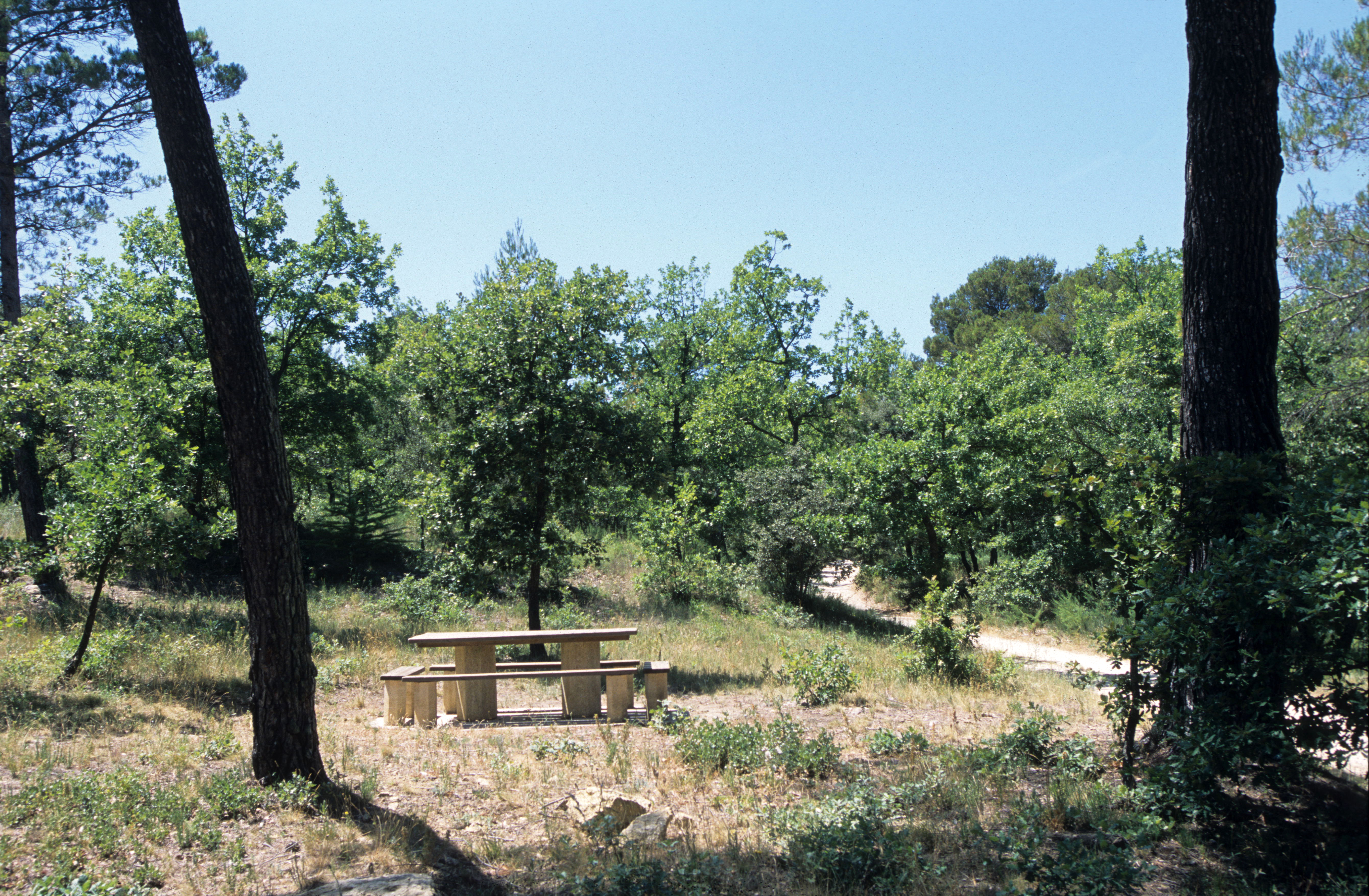 Rognes : Caireval - circuit VTT 3, Rognes - photo 3
