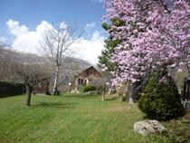 terrain clos en printemps