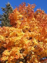 Atelier d'expression_Villard-de-Lans