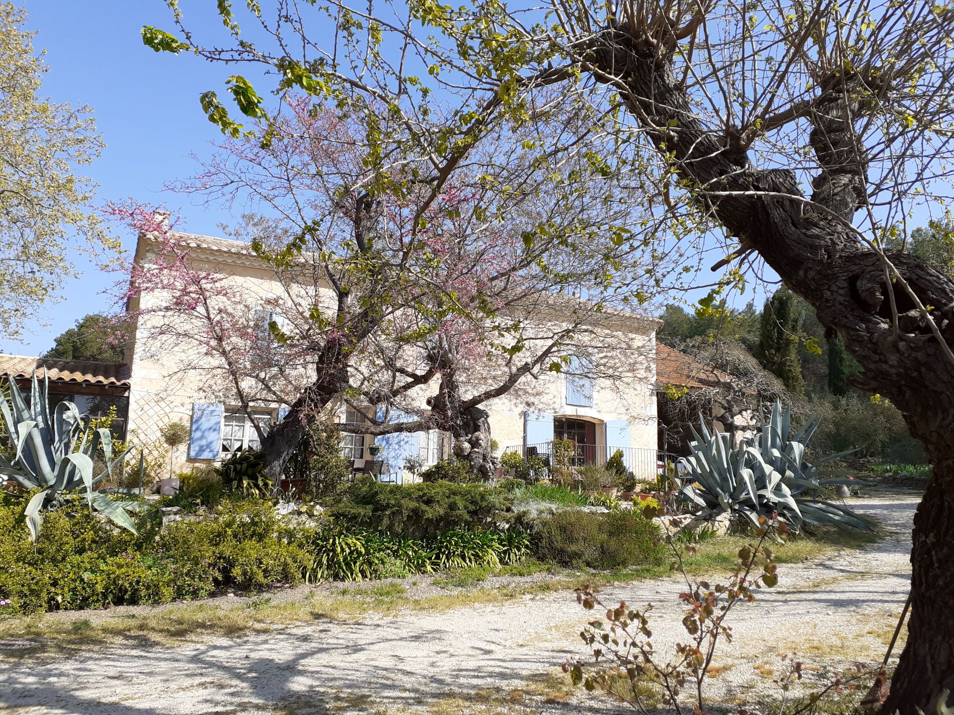 Le Petit Mas de Monge, Tarascon - photo 6