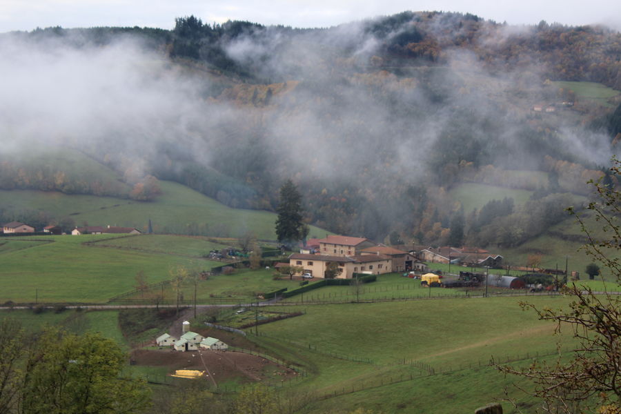 PETITE FERME DU PLAT