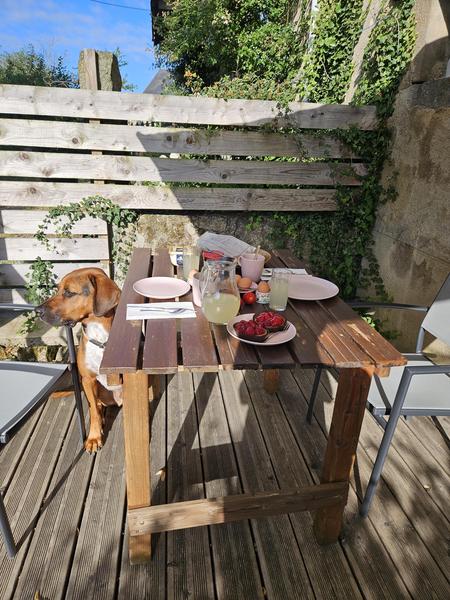 Gite Bouron - Vacances avec vos chiens