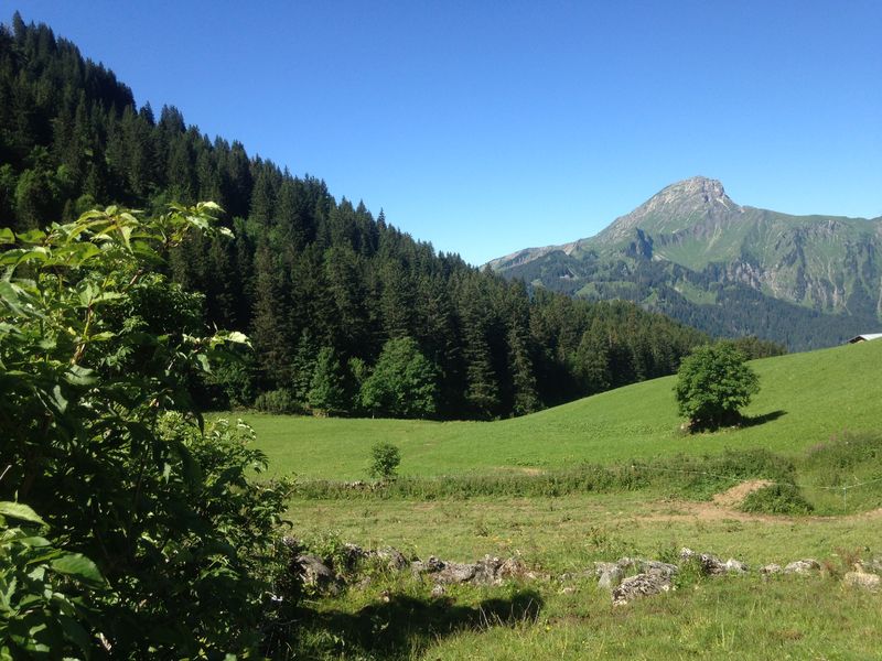 Chalet d'alpage de Barbossine