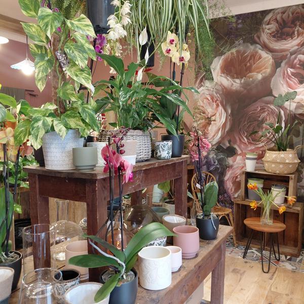 Le Roc Fleuri, Fleuristerie_Castellane