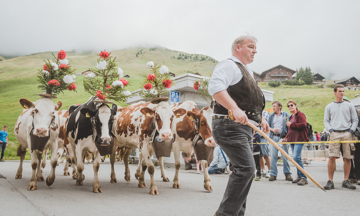 foire-betail2