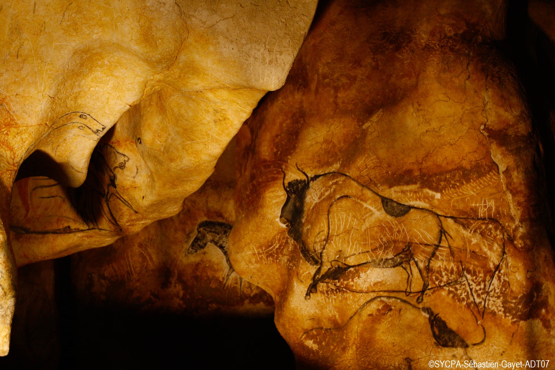 ©SYCPA-Sébastien-Gayet-ADT07-Caverne-du-Pont-dArc-un-bison-et-un-petit-cheval_GF